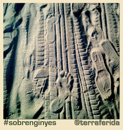 Petjades sobre terraferida