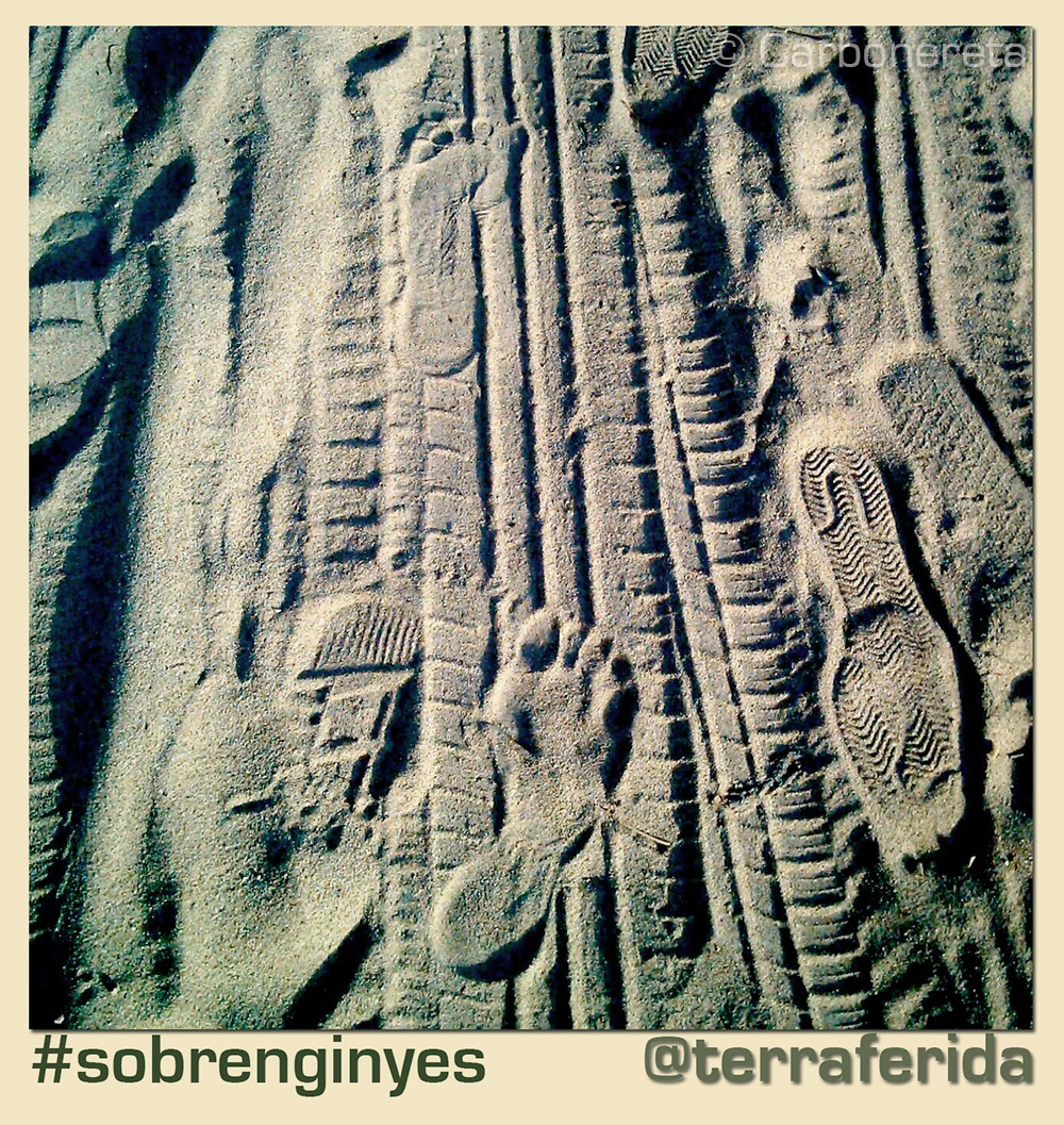 Petjades sobre terraferida