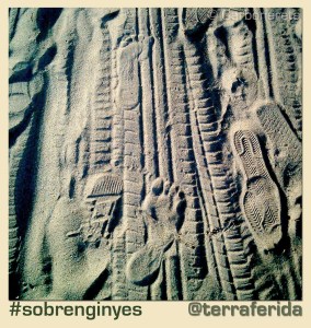 Petjades sobre terraferida