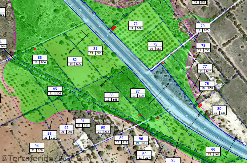 Arbres arrasats per l'autopista