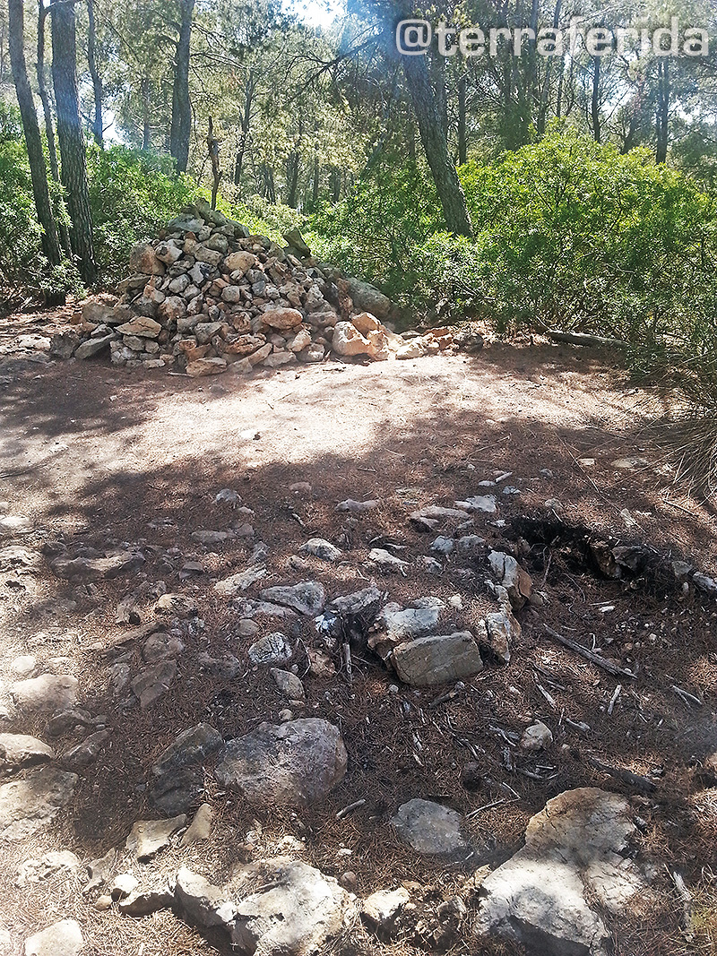 Sitja desmuntada per fer un caramull