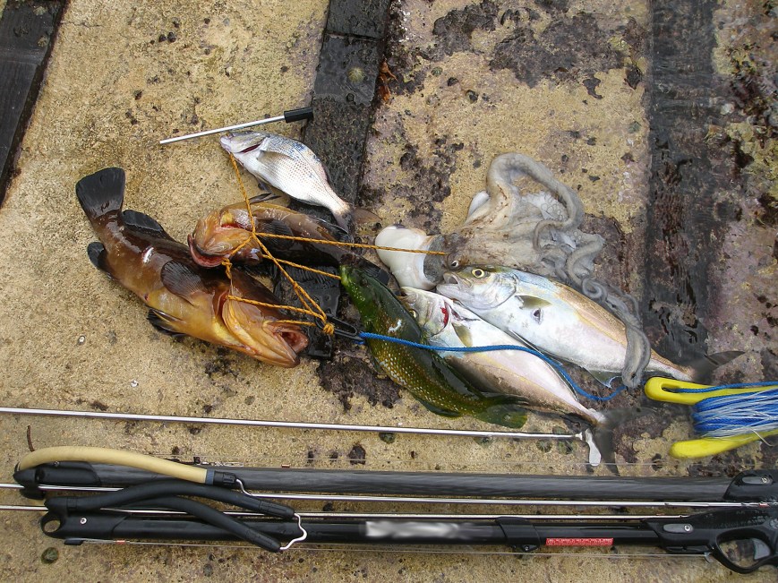 Pescada submarina furtiva